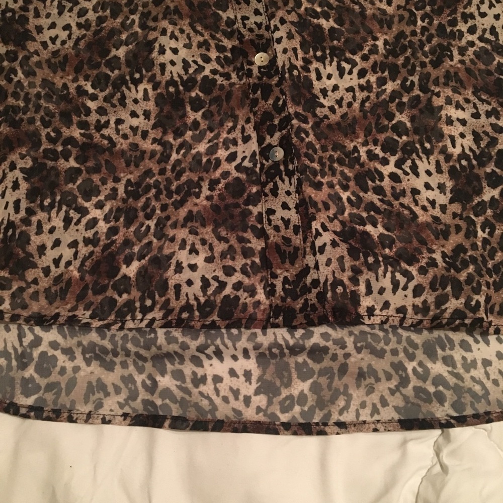 Leopard Sheer Top - Picture 5 of 5